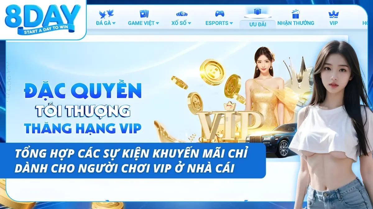 Trải nghiệm sự kiện khuyến mãi đặc quyền của cấp hạng VIP